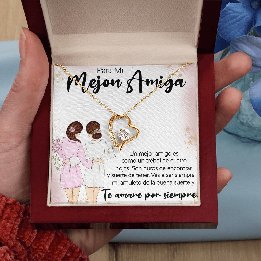 12-1099-Mejon Amiga