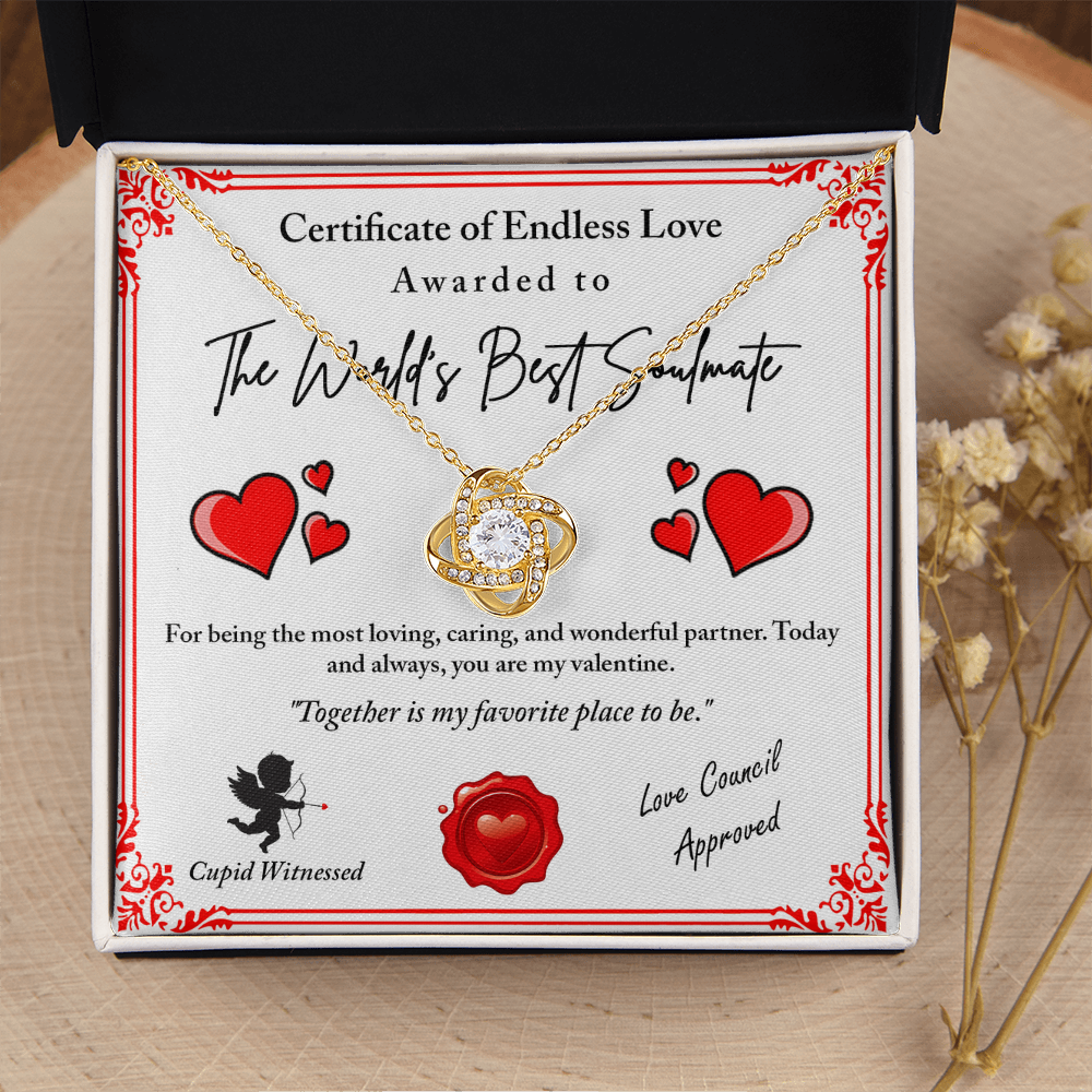 The World's Best Soulmate Necklace, Soulmate Necklace For Women, Valentine Gifts For My Wife, Valentine Gifts For Wife, Valentine Gifts For Her