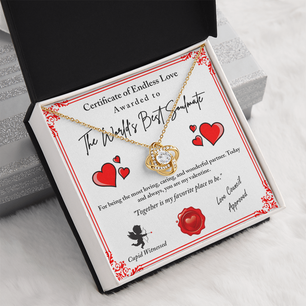 The World's Best Soulmate Necklace, Soulmate Necklace For Women, Valentine Gifts For My Wife, Valentine Gifts For Wife, Valentine Gifts For Her