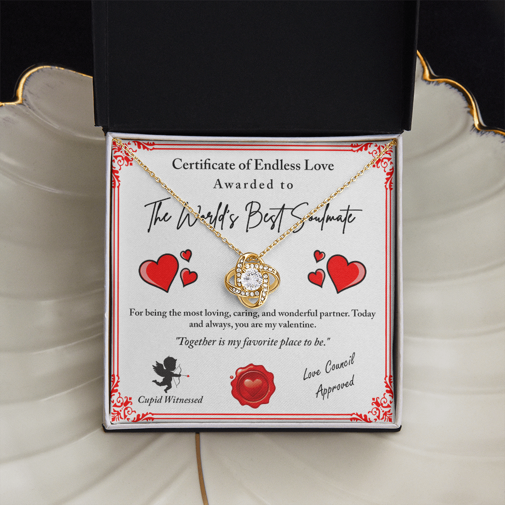The World's Best Soulmate Necklace, Soulmate Necklace For Women, Valentine Gifts For My Wife, Valentine Gifts For Wife, Valentine Gifts For Her
