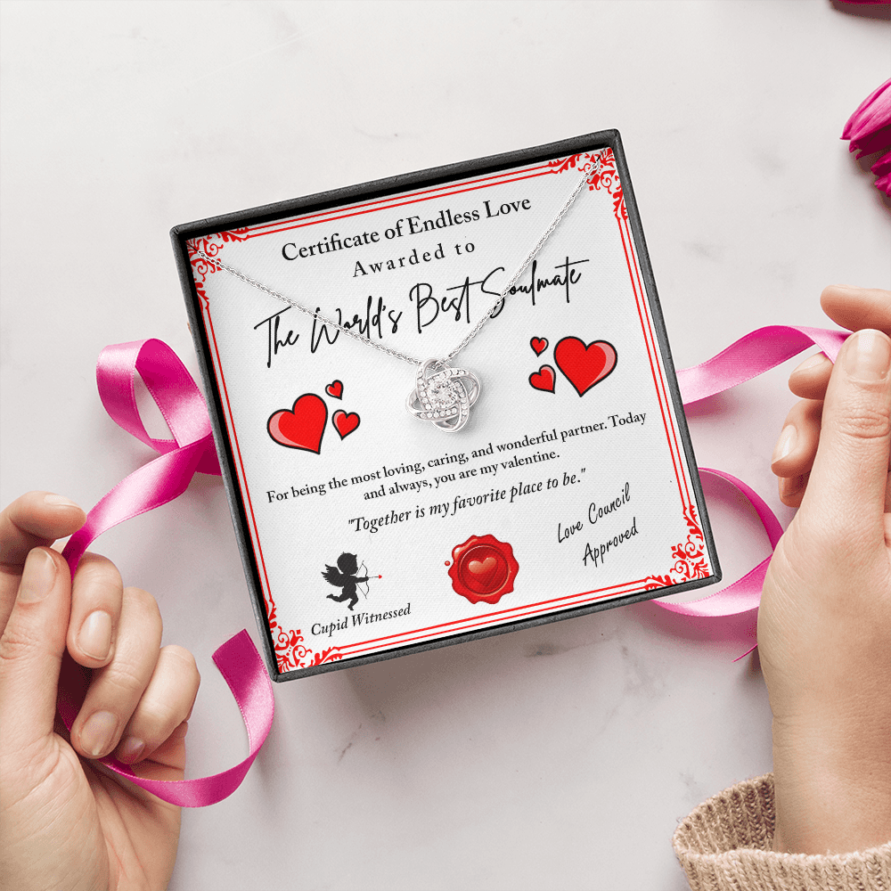 The World's Best Soulmate Necklace, Soulmate Necklace For Women, Valentine Gifts For My Wife, Valentine Gifts For Wife, Valentine Gifts For Her