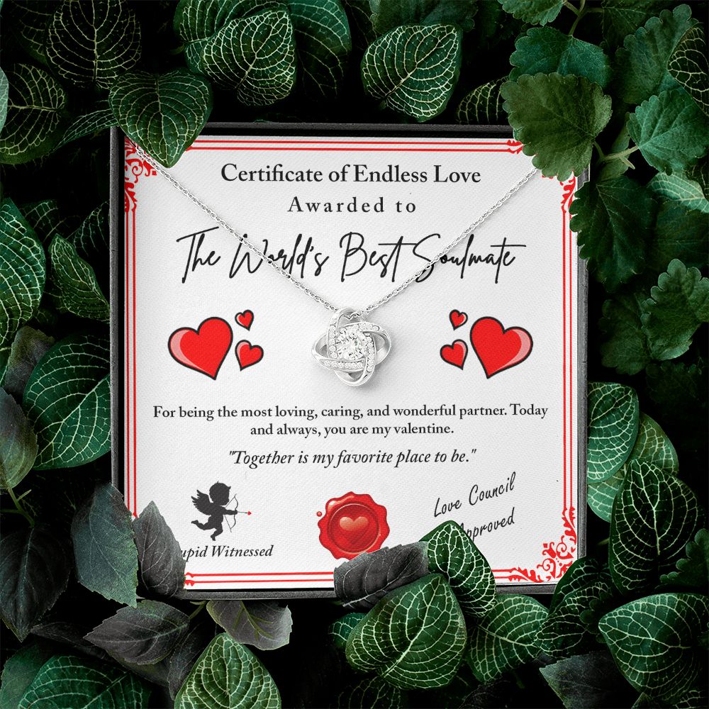 The World's Best Soulmate Necklace, Soulmate Necklace For Women, Valentine Gifts For My Wife, Valentine Gifts For Wife, Valentine Gifts For Her