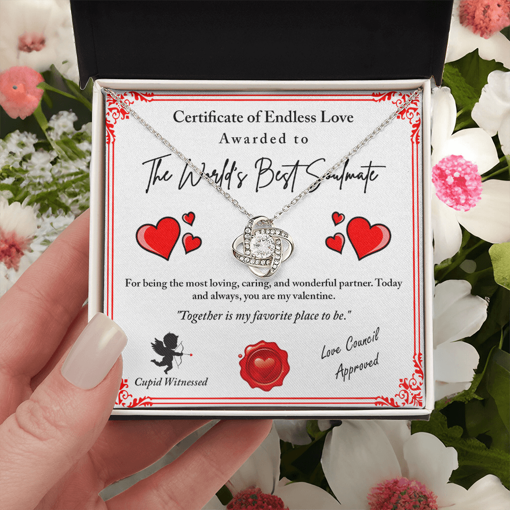 The World's Best Soulmate Necklace, Soulmate Necklace For Women, Valentine Gifts For My Wife, Valentine Gifts For Wife, Valentine Gifts For Her