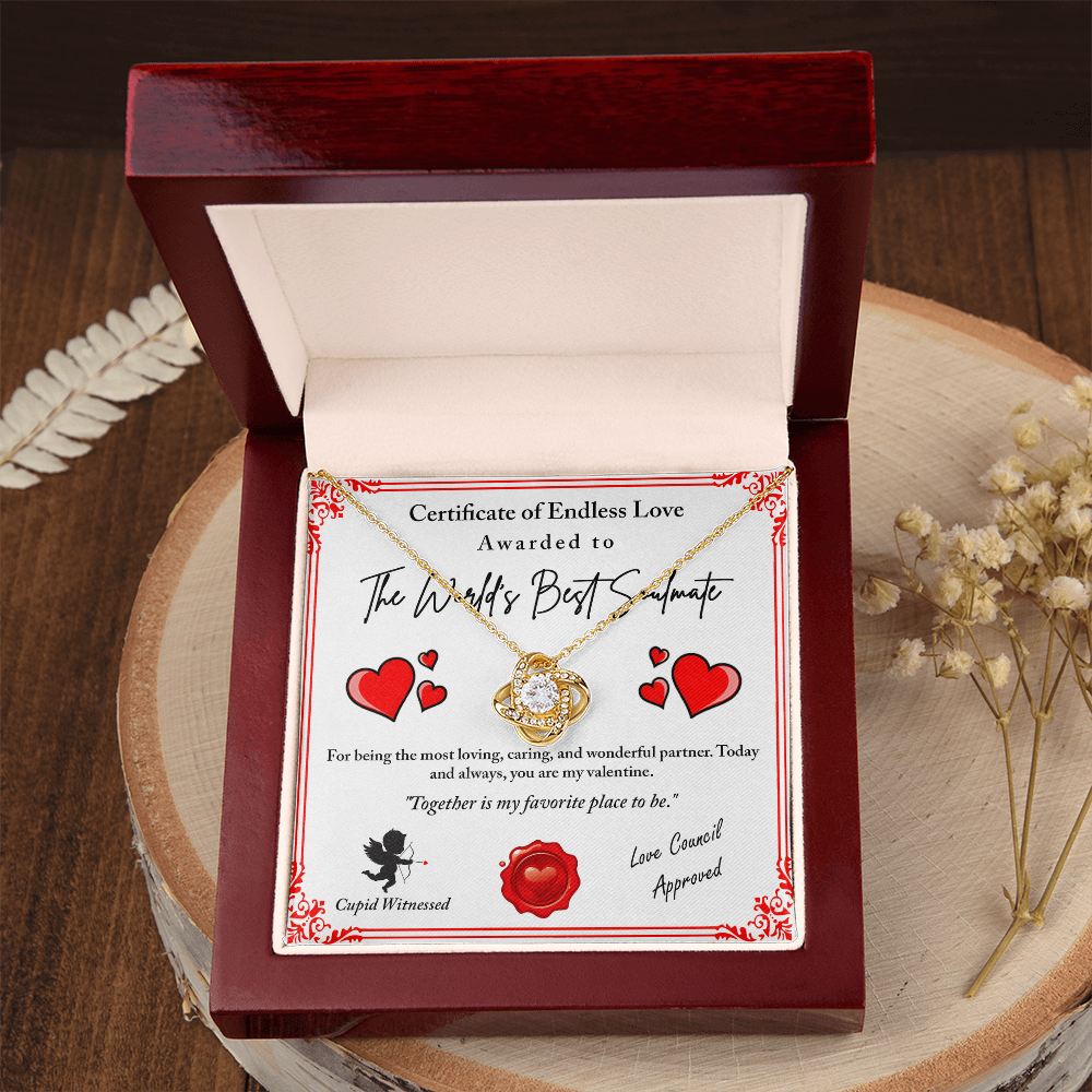 The World's Best Soulmate Necklace, Soulmate Necklace For Women, Valentine Gifts For My Wife, Valentine Gifts For Wife, Valentine Gifts For Her