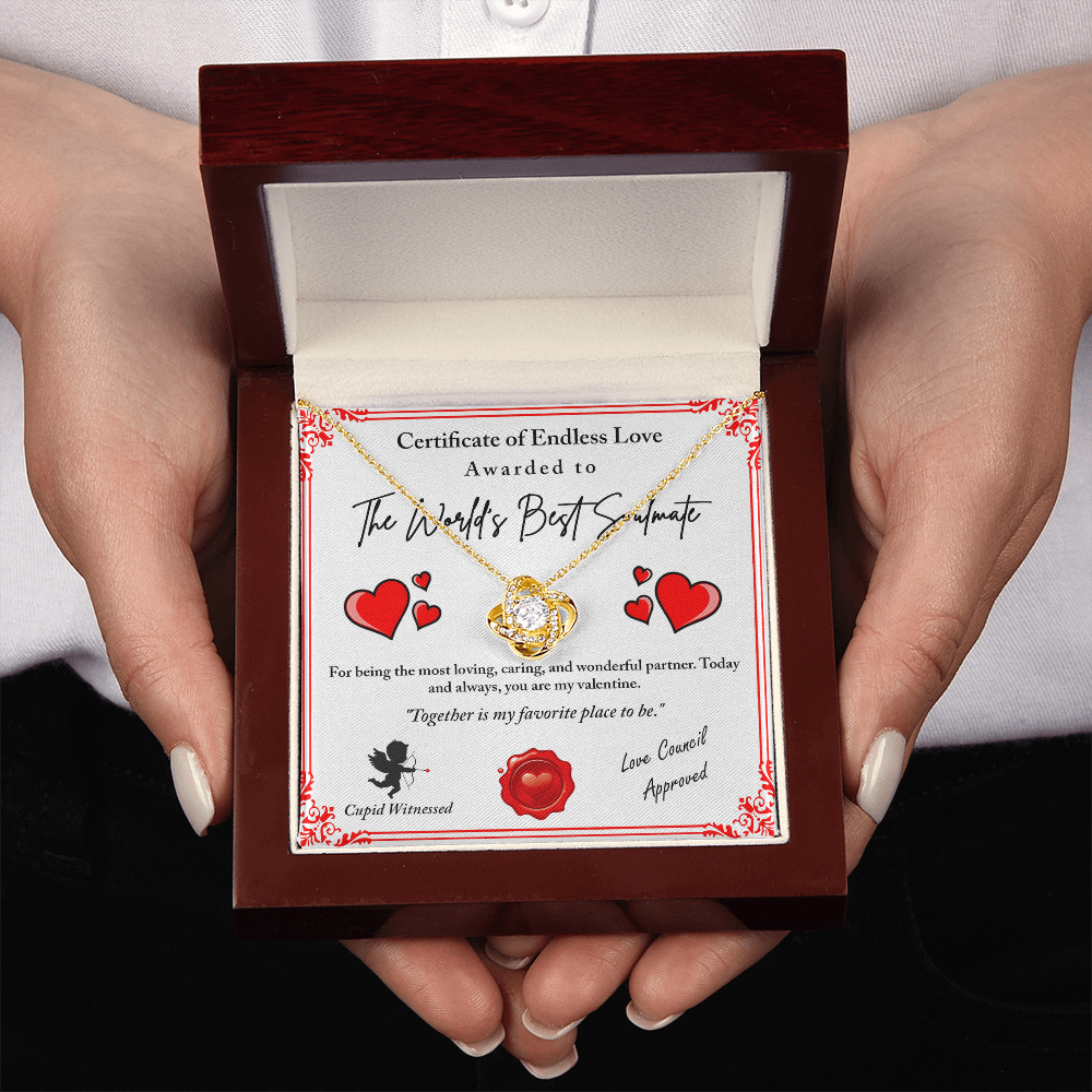 The World's Best Soulmate Necklace, Soulmate Necklace For Women, Valentine Gifts For My Wife, Valentine Gifts For Wife, Valentine Gifts For Her