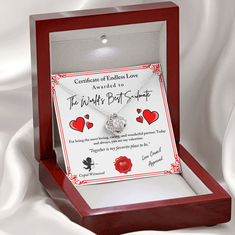 The World's Best Soulmate Necklace, Soulmate Necklace For Women, Valentine Gifts For My Wife, Valentine Gifts For Wife, Valentine Gifts For Her