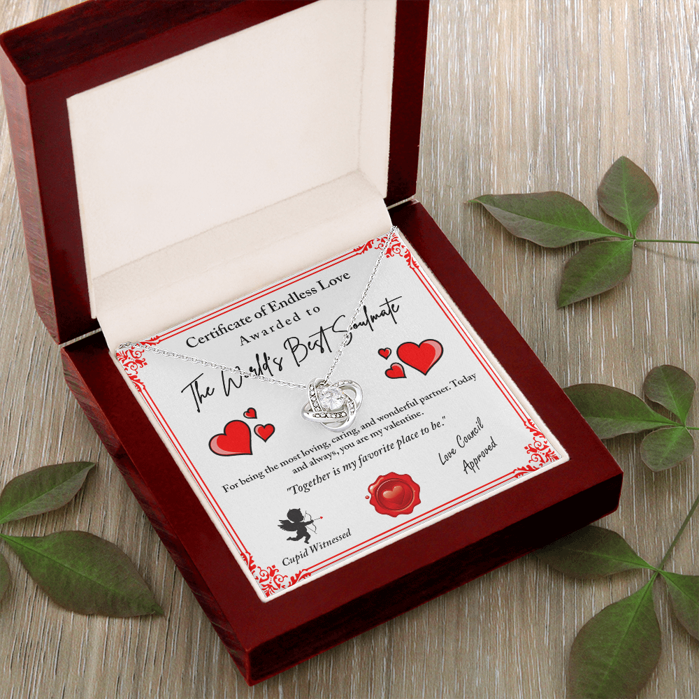 The World's Best Soulmate Necklace, Soulmate Necklace For Women, Valentine Gifts For My Wife, Valentine Gifts For Wife, Valentine Gifts For Her