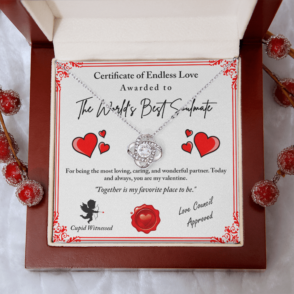 The World's Best Soulmate Necklace, Soulmate Necklace For Women, Valentine Gifts For My Wife, Valentine Gifts For Wife, Valentine Gifts For Her