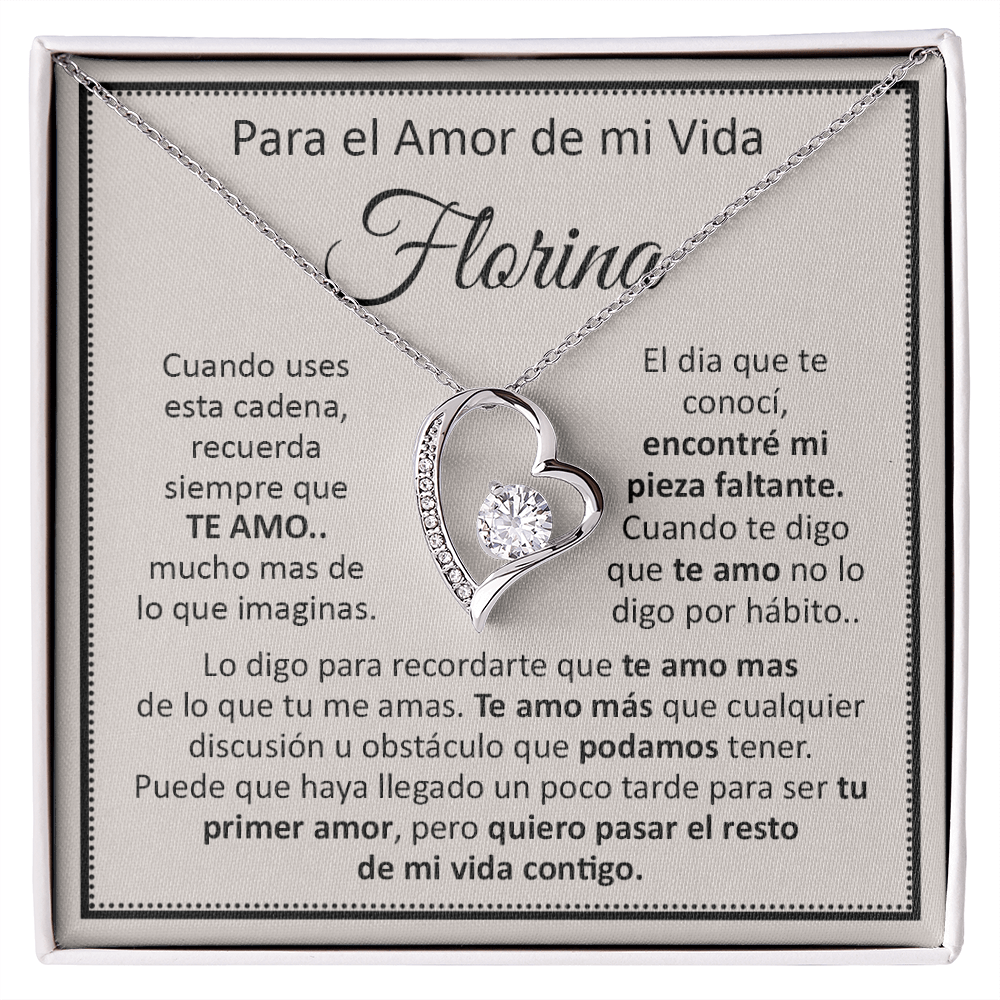 VIQN_BR2_T12_1 Florina