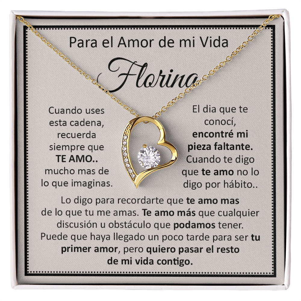 VIQN_BR2_T12_1 Florina