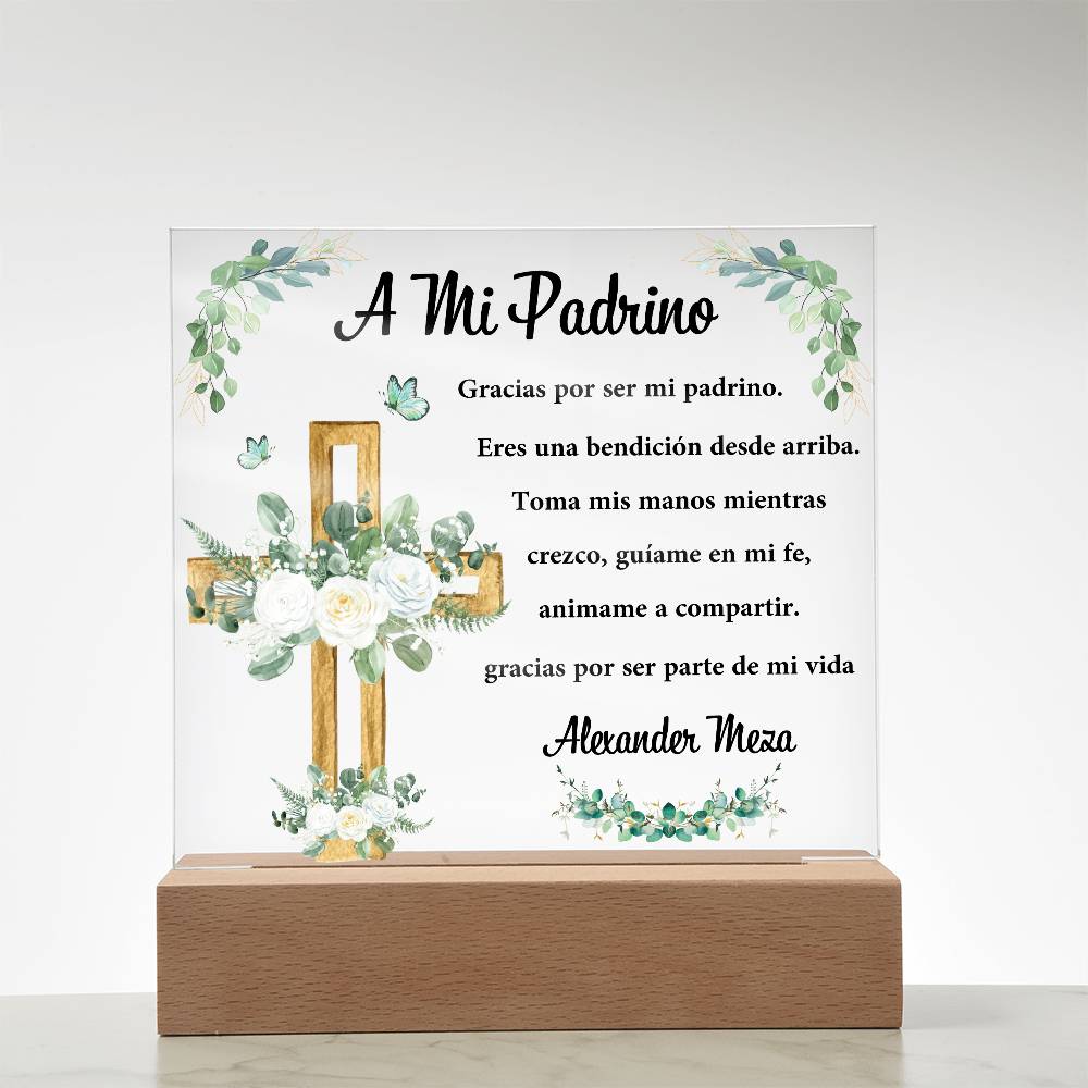 PADRINO-4BR-29T5-1 Alexander Meza