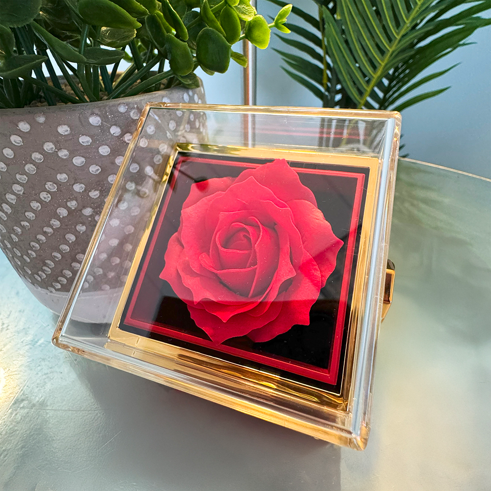 Regalo De Graduación Para Hija, Caja De Rosas Eternas, Collar De Graduacion 2024 - HIGR-RO-BR3-104-3