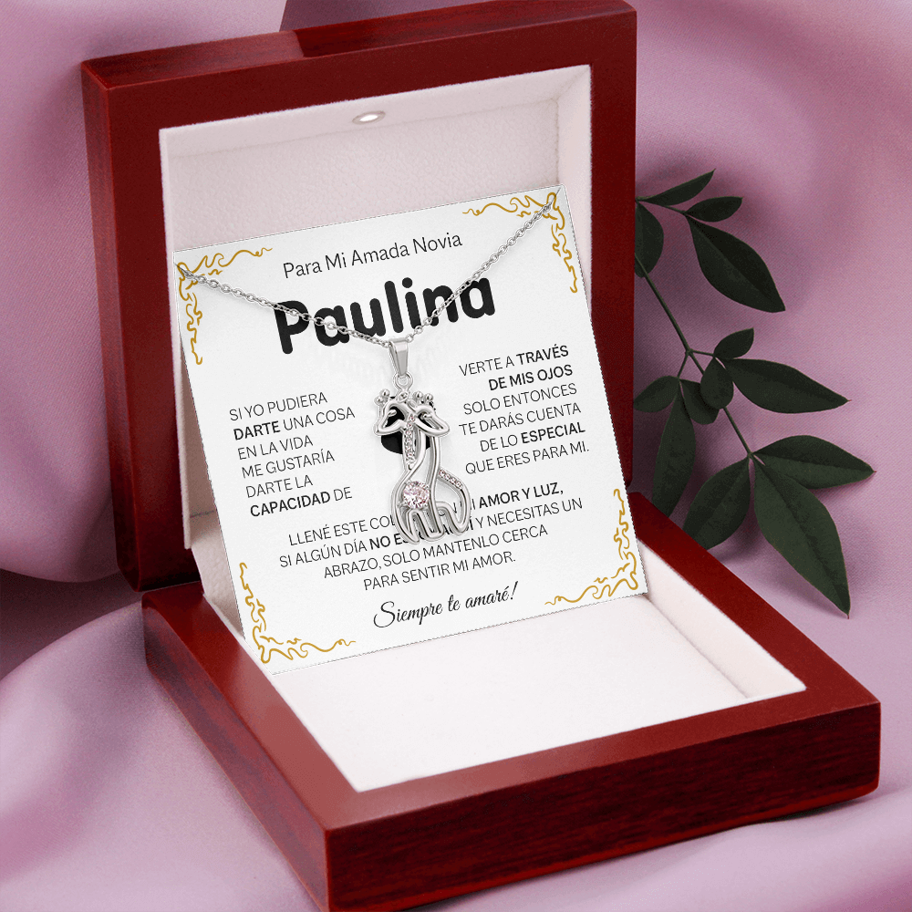 NOVIA_BR2_T4_3 Paulina