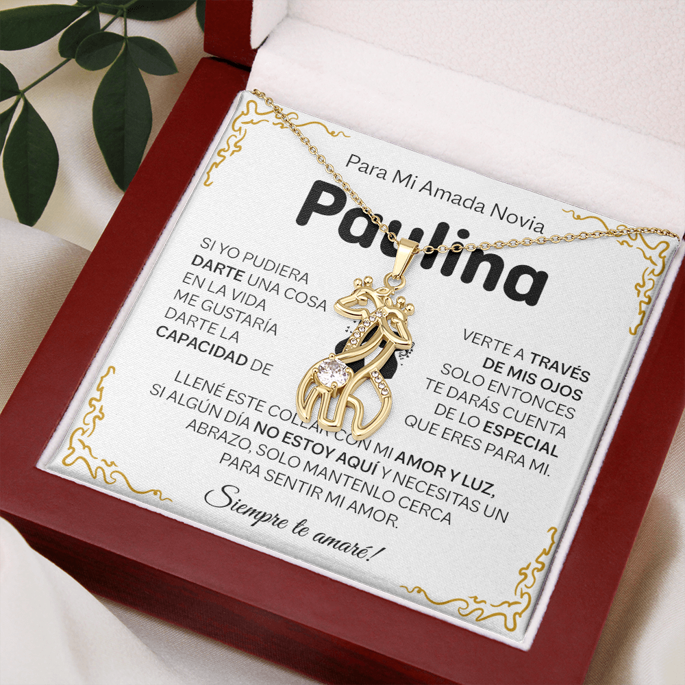 NOVIA_BR2_T4_3 Paulina