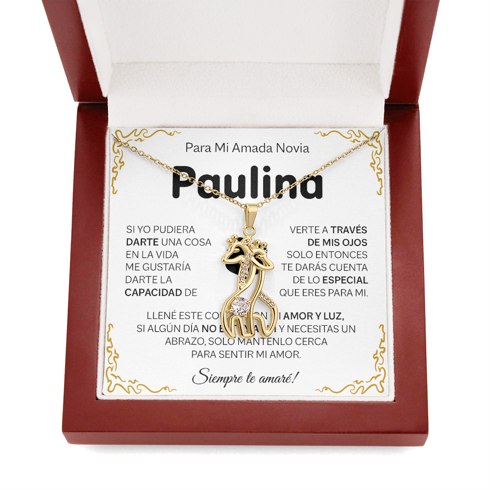 NOVIA_BR2_T4_3 Paulina