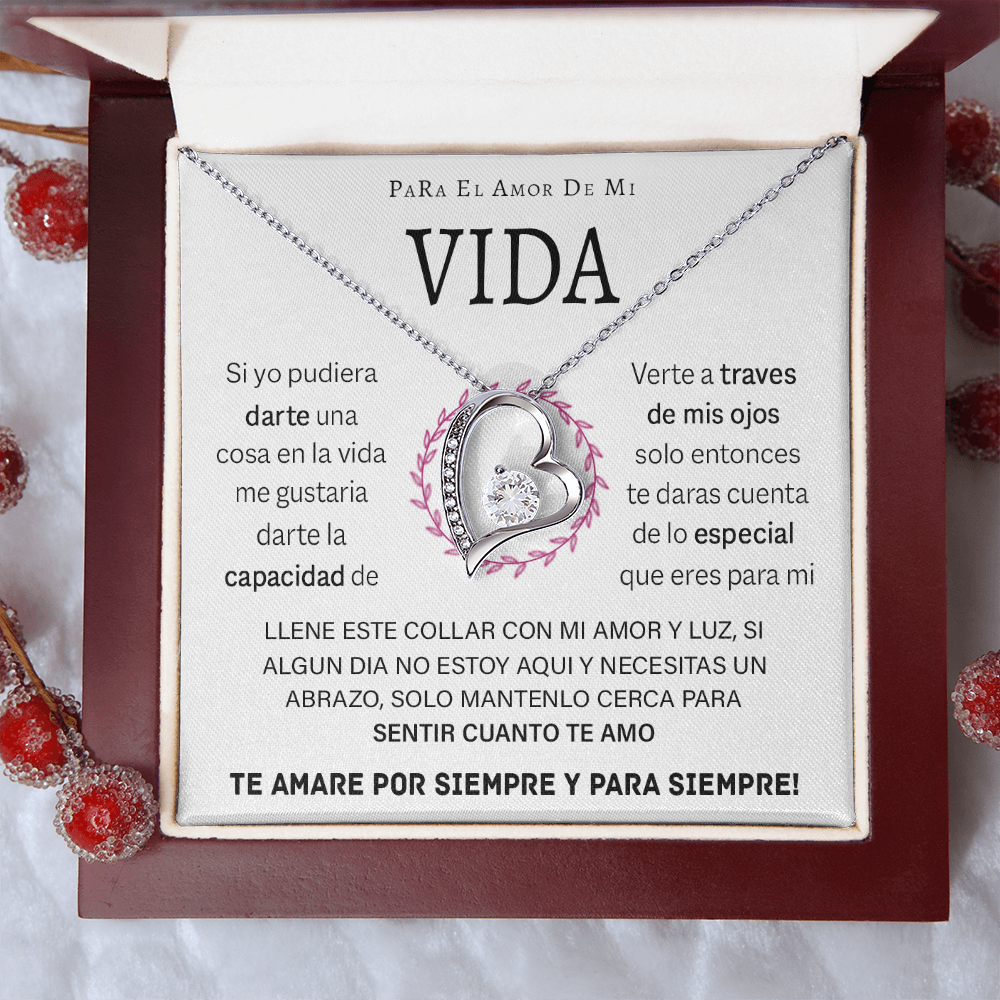 VIQN_BR2_T12_4 Vida