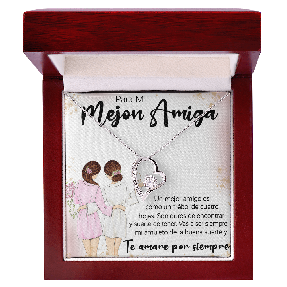 12-1099-Mejon Amiga