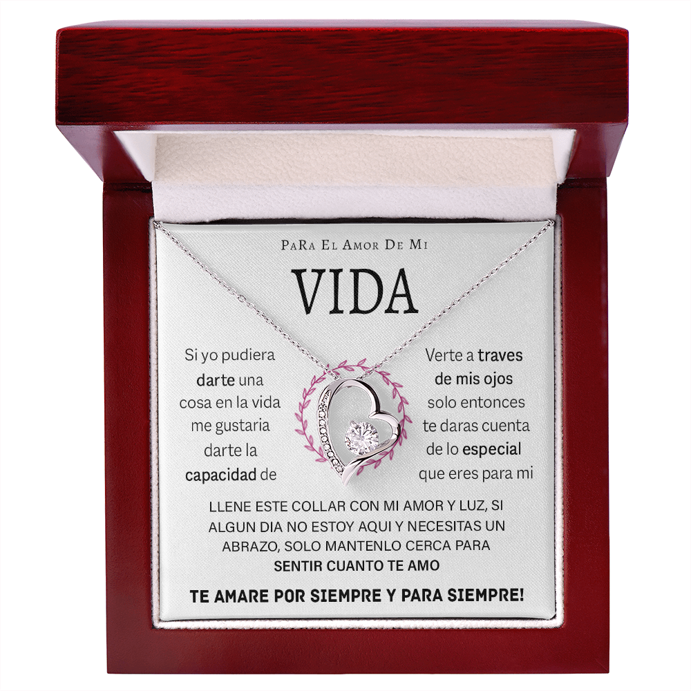 VIQN_BR2_T12_4 Vida