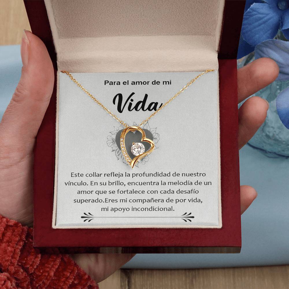 15-157-Vida