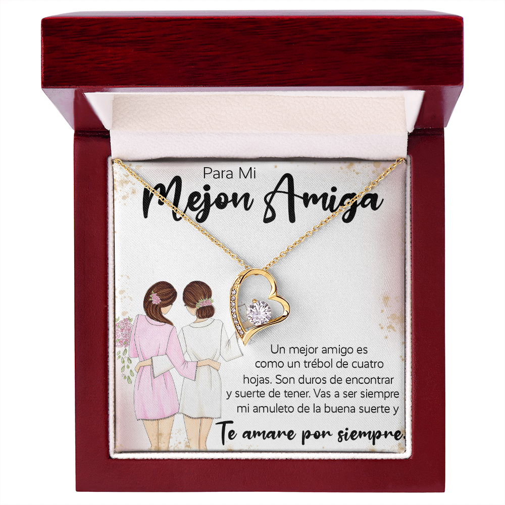 12-1099-Mejon Amiga