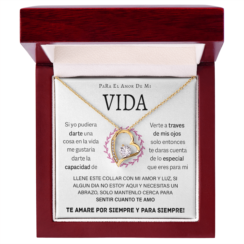 VIQN_BR2_T12_4 Vida