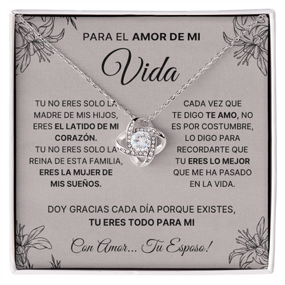 12-1329- vida