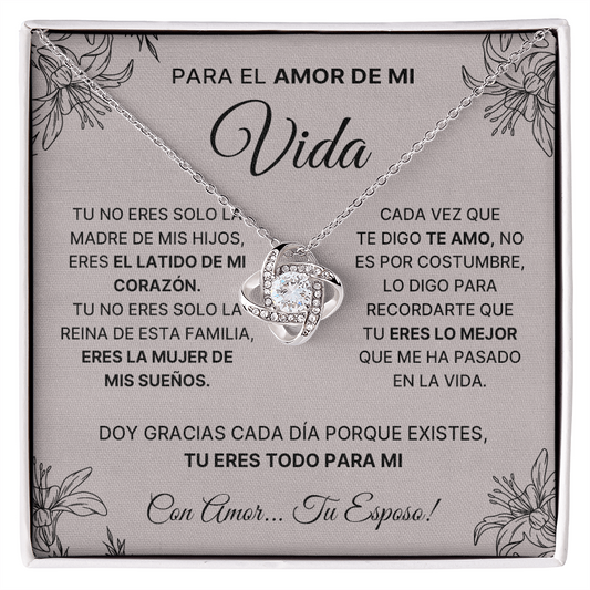 12-1329- vida