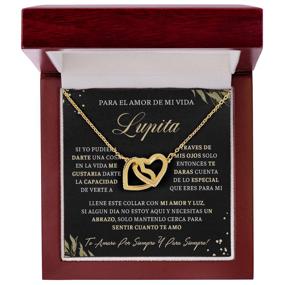 VIDA_BR2_M4_1 Lupita