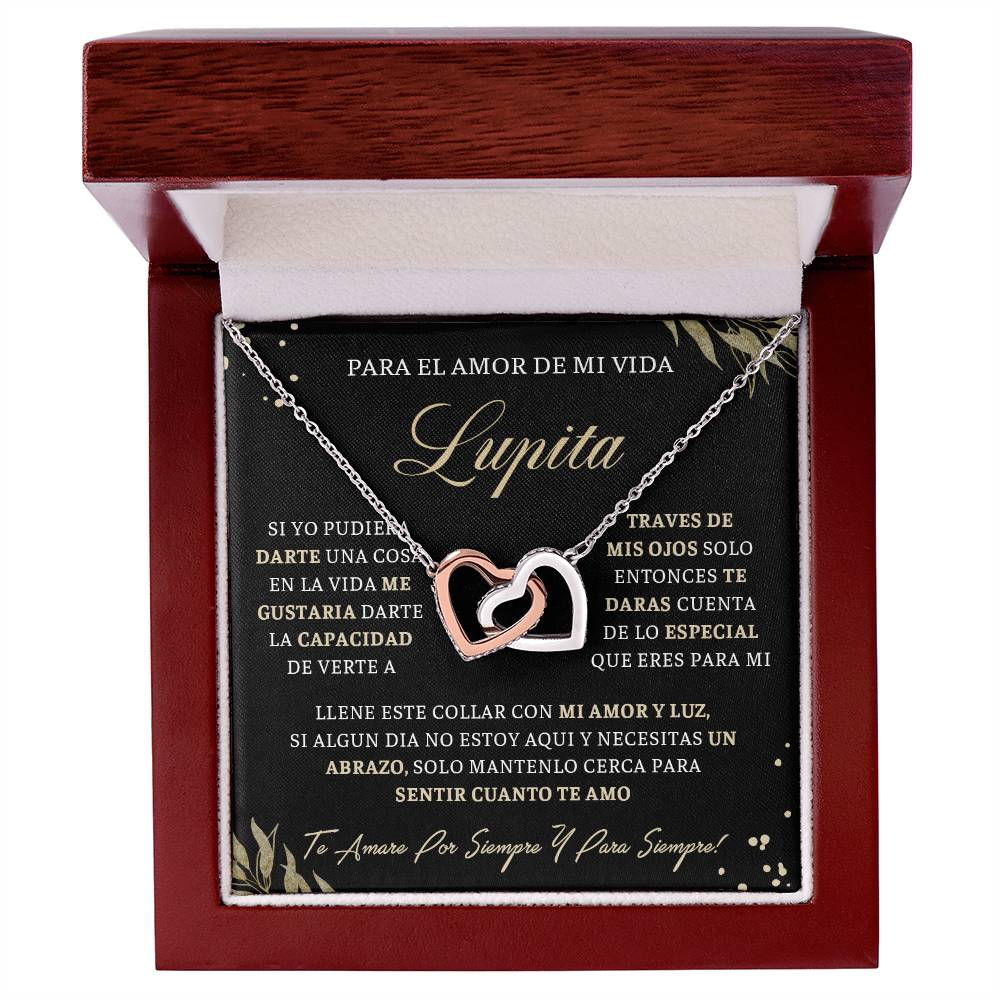 VIDA_BR2_M4_1 Lupita