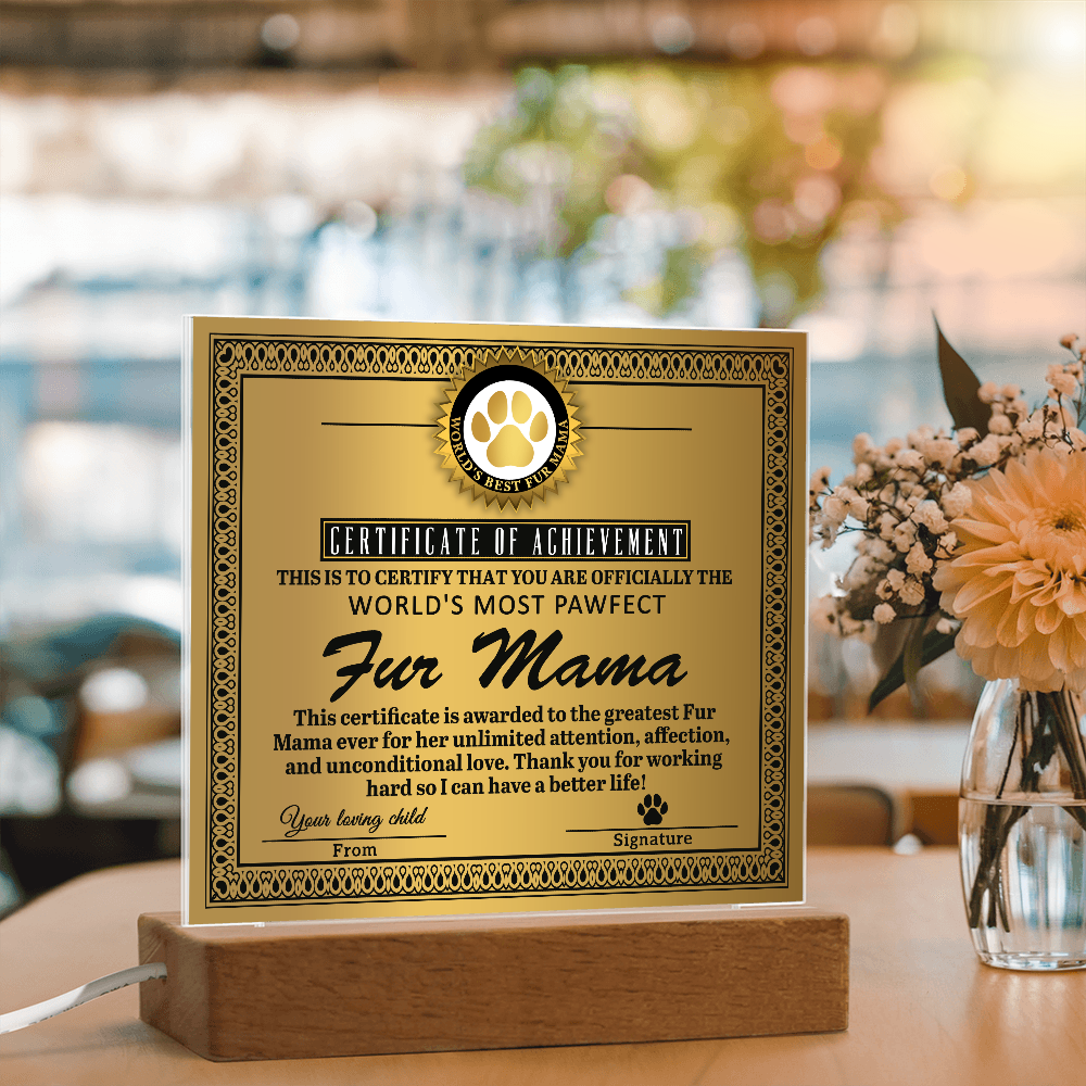 Certificate Of Achievement Fur Mama Square Acrylic, Acrylic Mom Gifts From Loving Child, Special Mothers Day Gifts For Mom