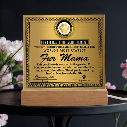 Certificate Of Achievement Fur Mama Square Acrylic, Acrylic Mom Gifts From Loving Child, Special Mothers Day Gifts For Mom