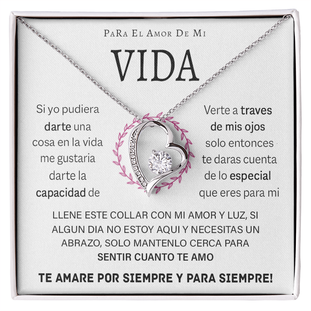 VIQN_BR2_T12_4 Vida