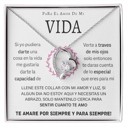VIQN_BR2_T12_4 Vida