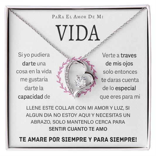 VIQN_BR2_T12_4 Vida