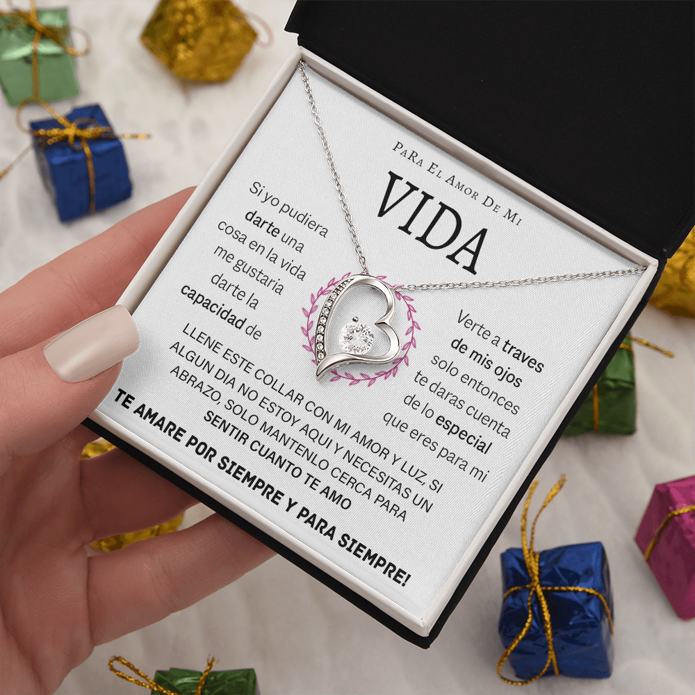 VIQN_BR2_T12_4 Vida