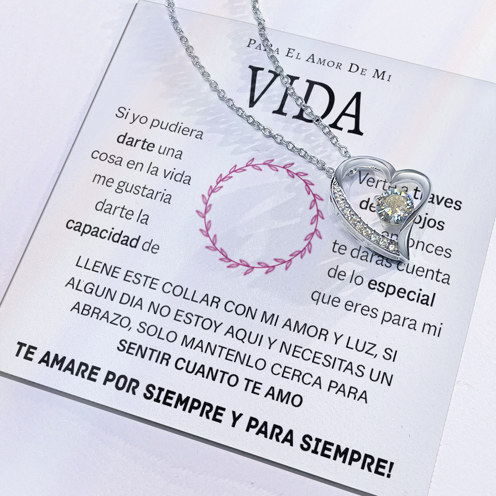 VIQN_BR2_T12_4 Vida