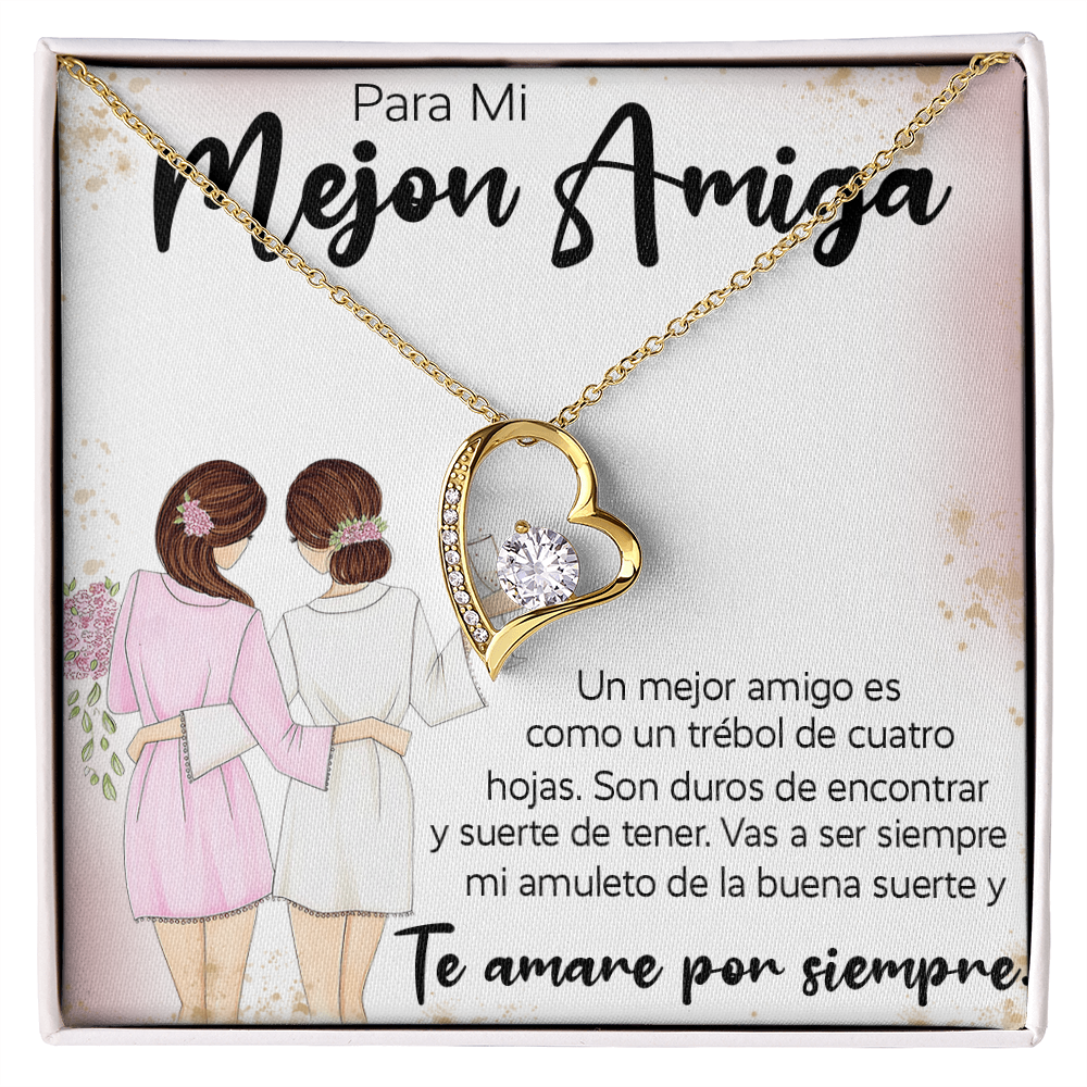 12-1099-Mejon Amiga