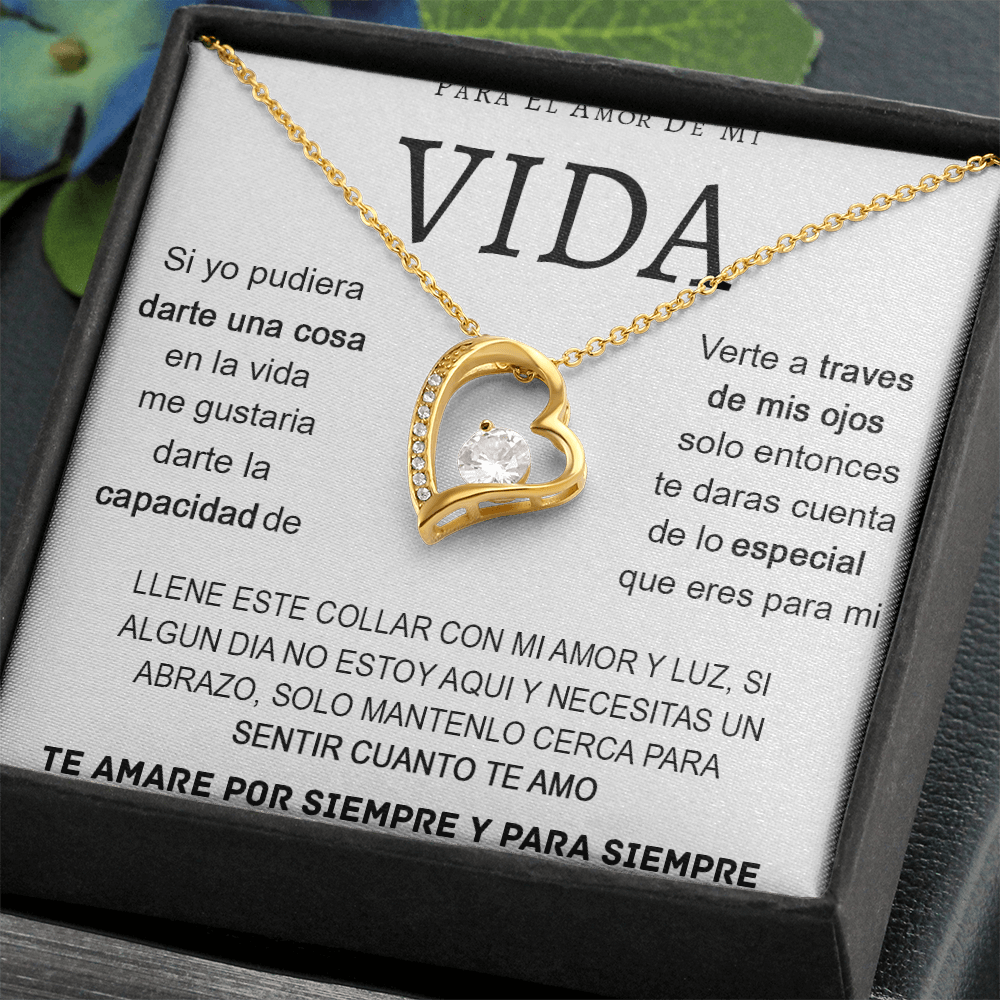 80-1899 - Vida
