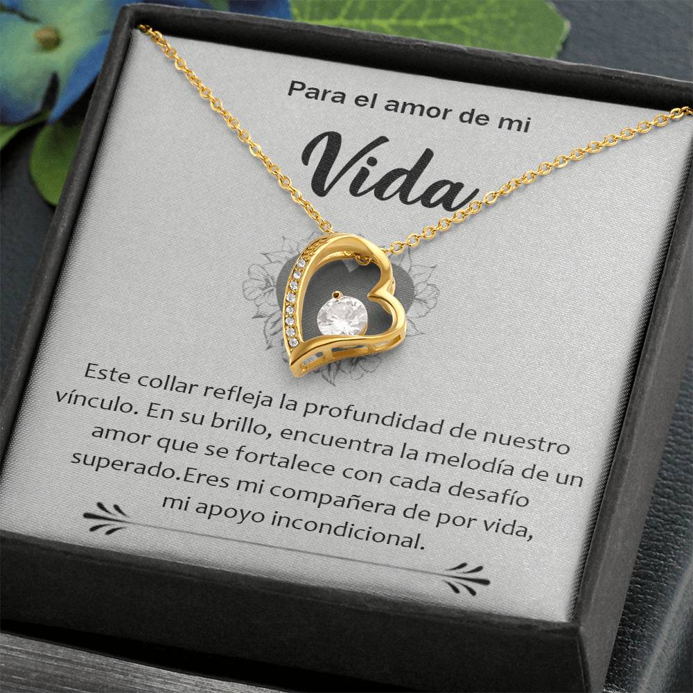 15-157-Vida