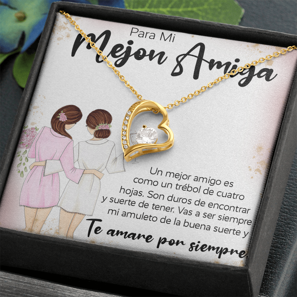 12-1099-Mejon Amiga