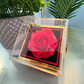 Regalo De Graduación Para Hija, Caja De Rosas Eternas, Collar De Graduacion 2024 - HIGR-RO-BR3-104-3