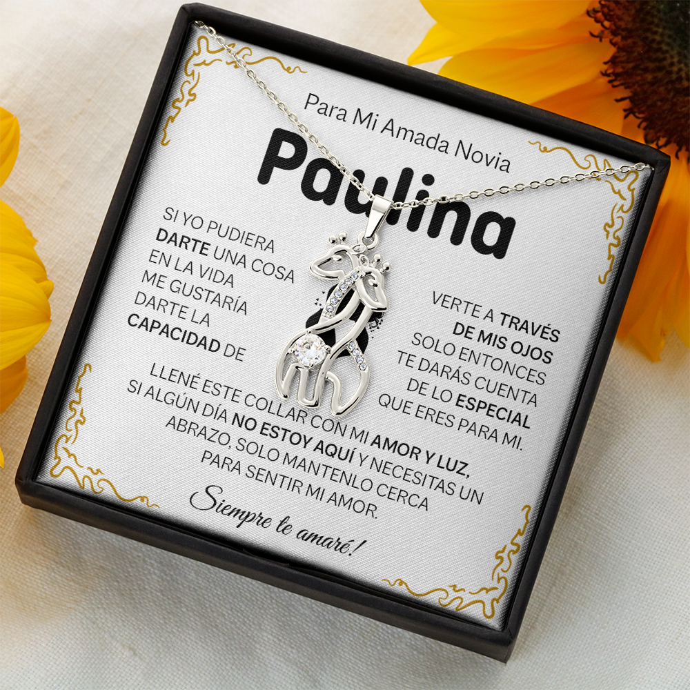 NOVIA_BR2_T4_3 Paulina