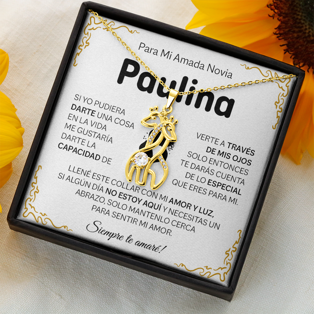 NOVIA_BR2_T4_3 Paulina
